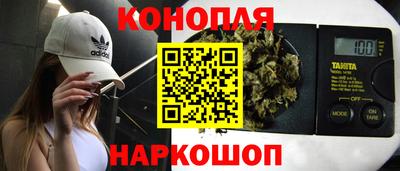 гидропоника Бердск
