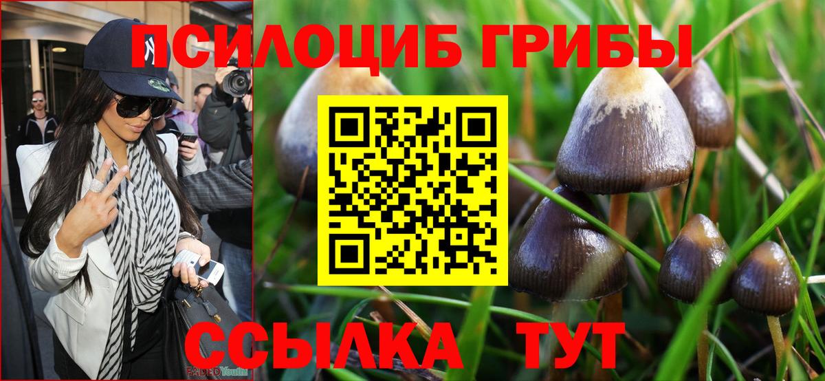 Псилоцибиновые грибы мухоморы Лангепас